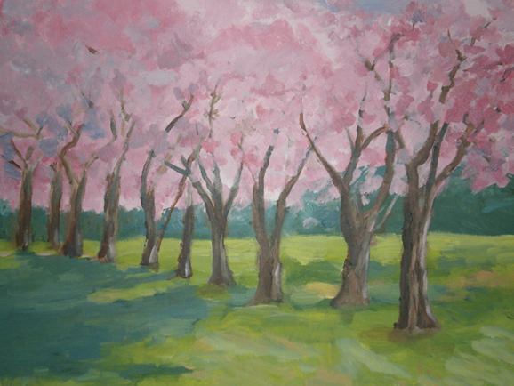 Cherry Blossoms by Kathryn W. Davis