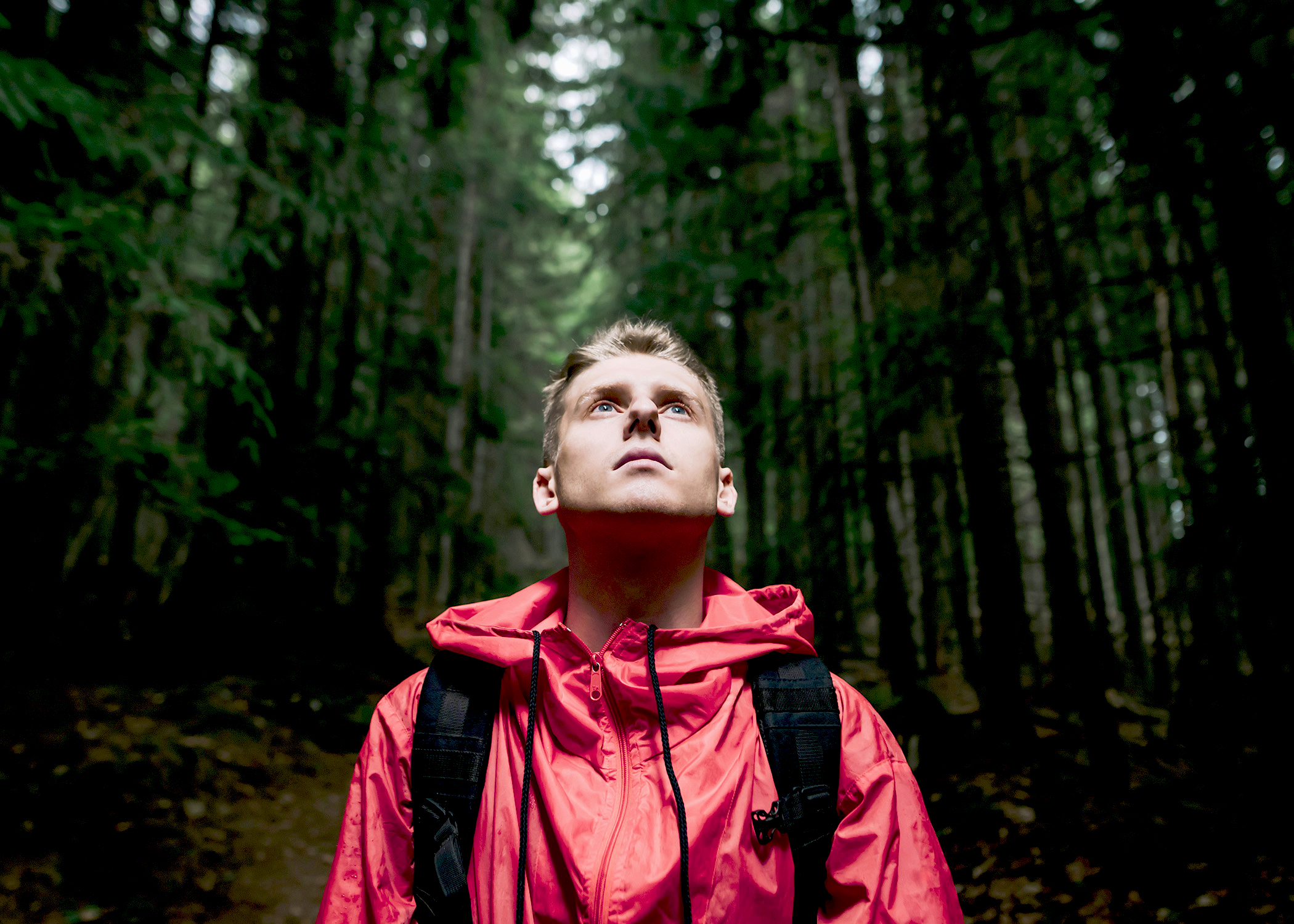 PLACEHOLDER Man Looking Up Forest 1